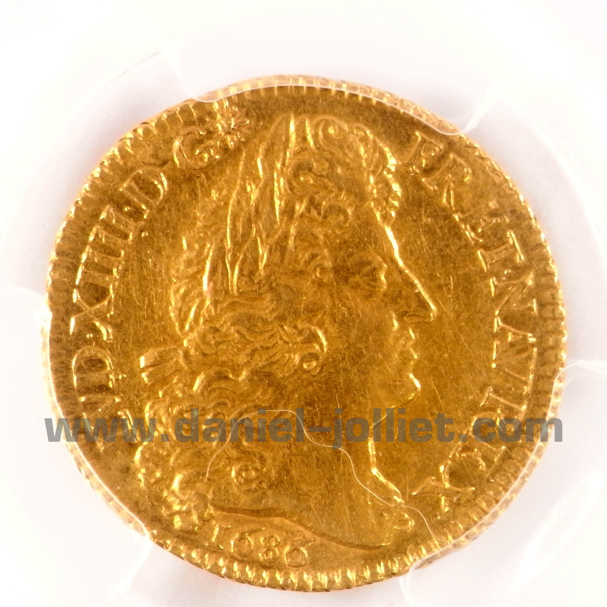 Louis d’or à la tête virile laurée 1686