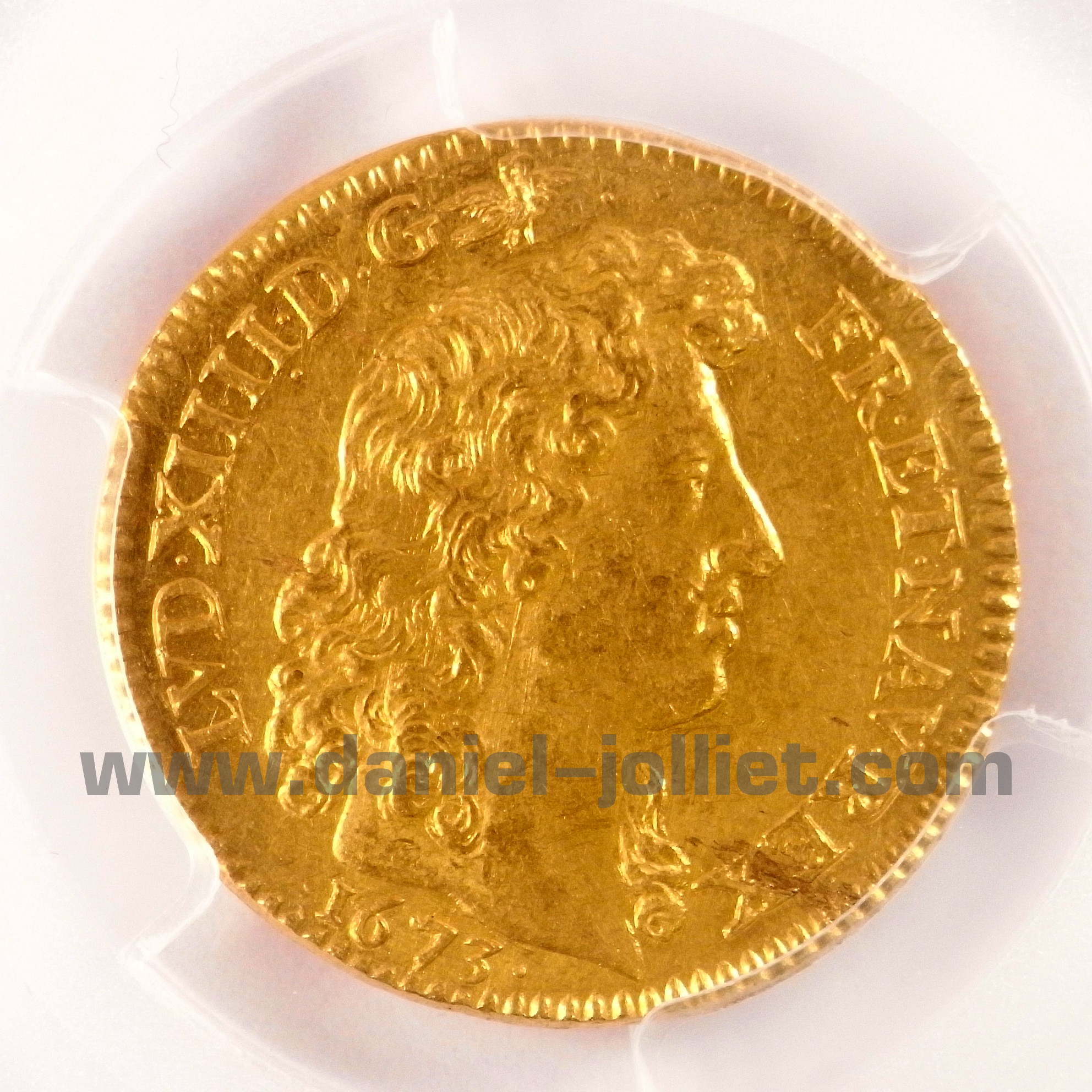 Louis d’or à la tête nue 1673