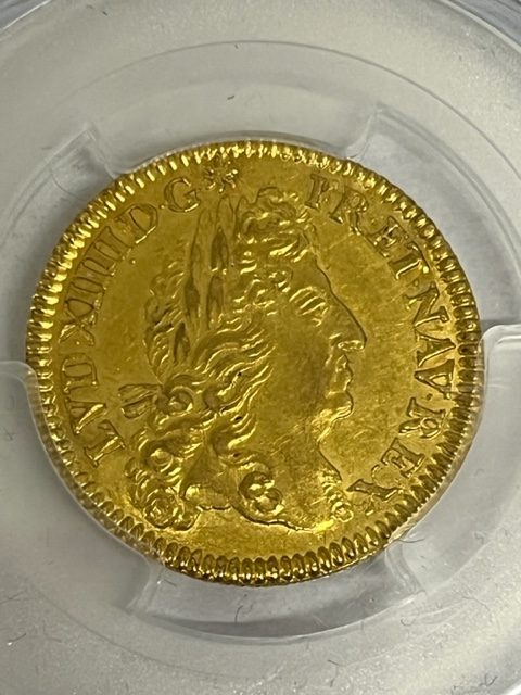 Louis d’or Flan réformé 1691
