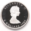 1/10 Oz Maple Platine 1989