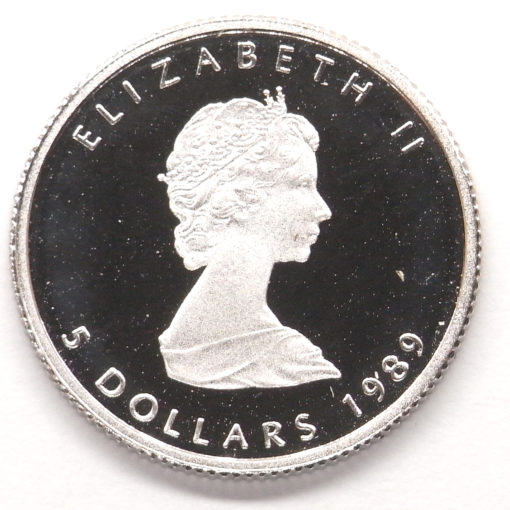 1/10 Oz Maple Platine 1989