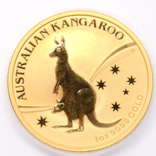 1 Oz Nugget 2009