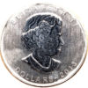 1 oz Buffalo 2013