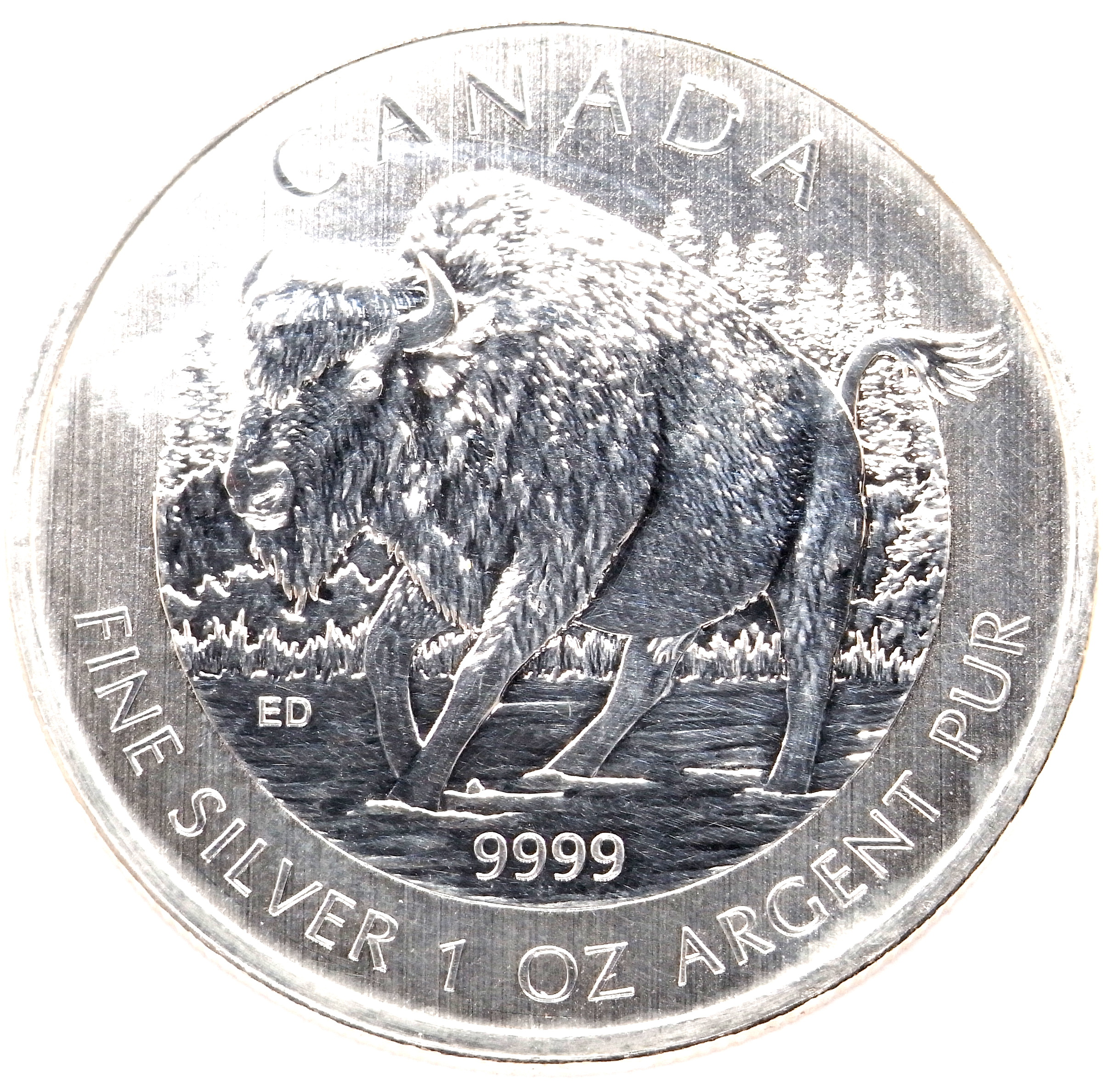 1 oz Buffalo 2013